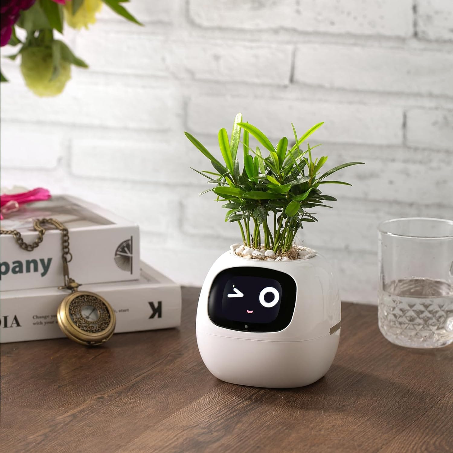 Review: Ivy, el Robot Maceta con Emojis (O cómo dejar de matar tus plantas)